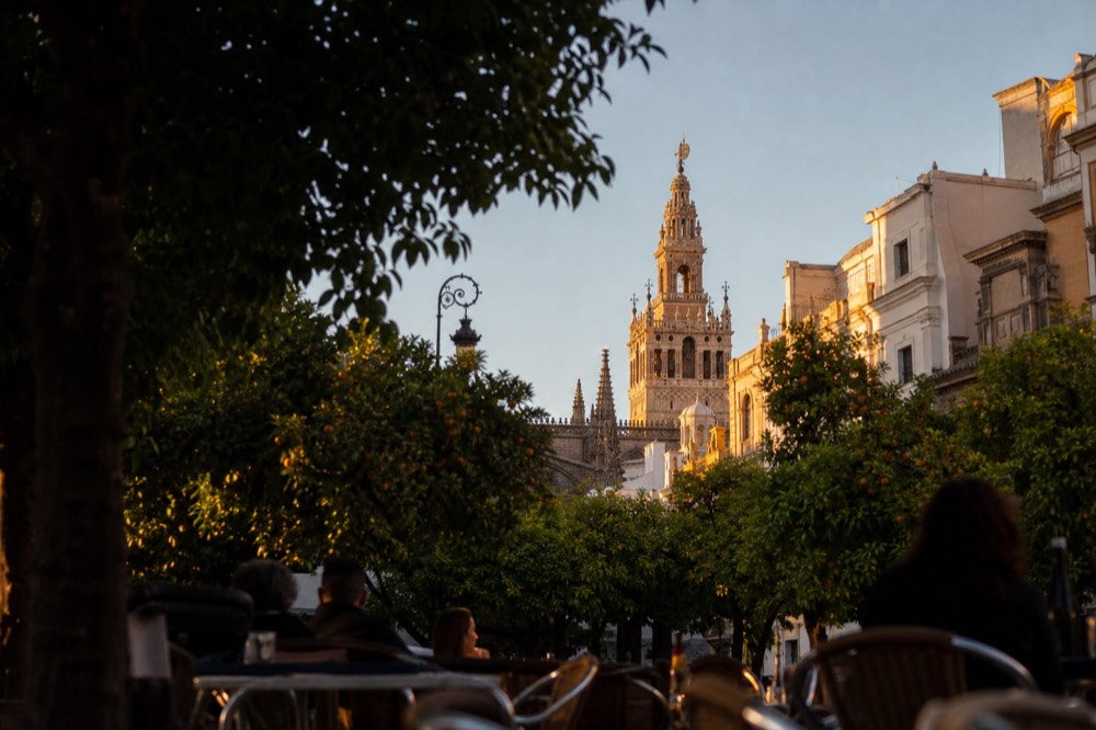 Terrace tables under orange trees in a Seville square at dusk with the cathedral tower lit in the distance